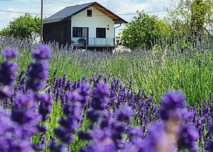 Vacation Home - Nest Kalnik